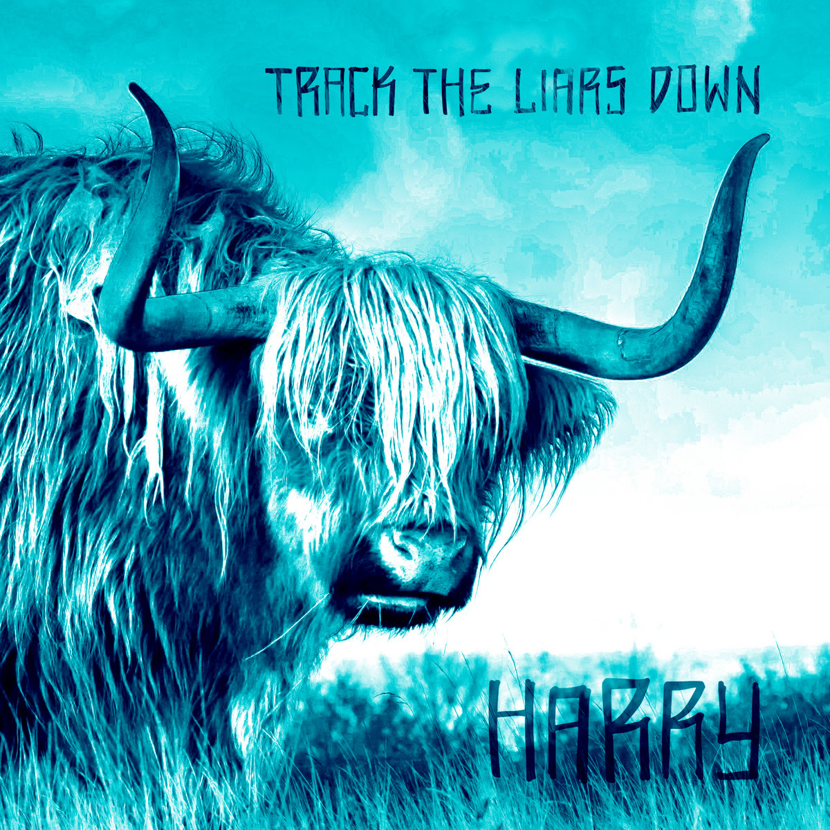 Track The Liars Down "Harry" 7"